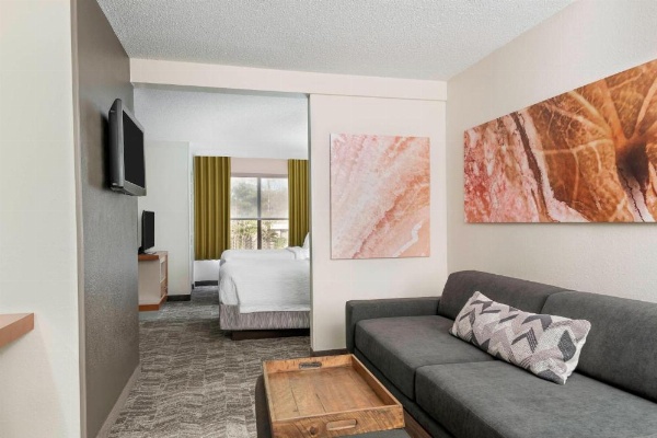 SpringHill Suites by Marriott Asheville image 17