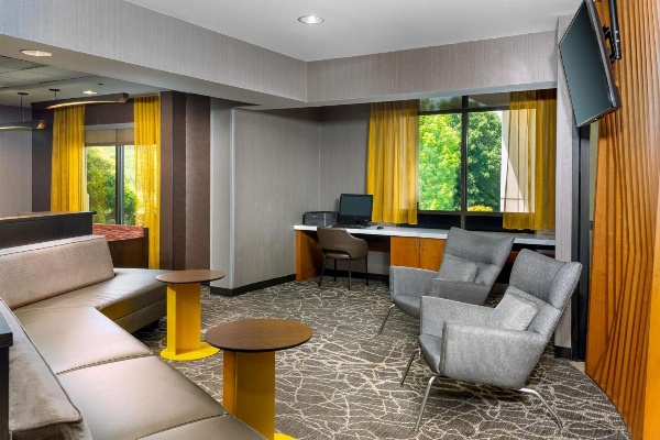 SpringHill Suites by Marriott Asheville image 7